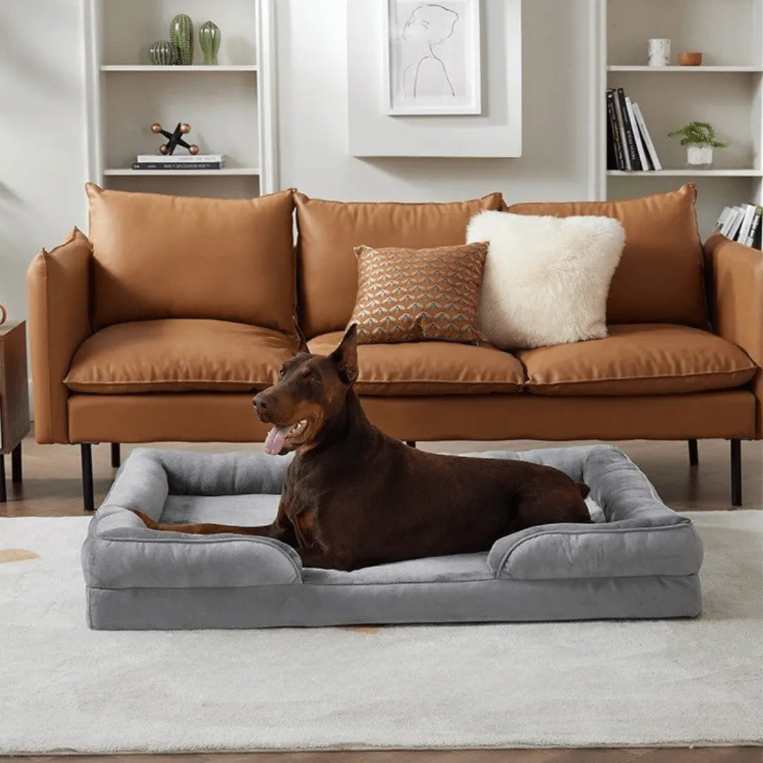 Orthopedic Dog Bed