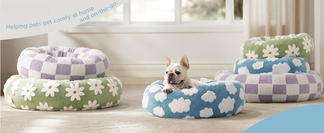 Dog lying on a patterned donut pet bed with other similar beds in the background.  joypup store dog bed