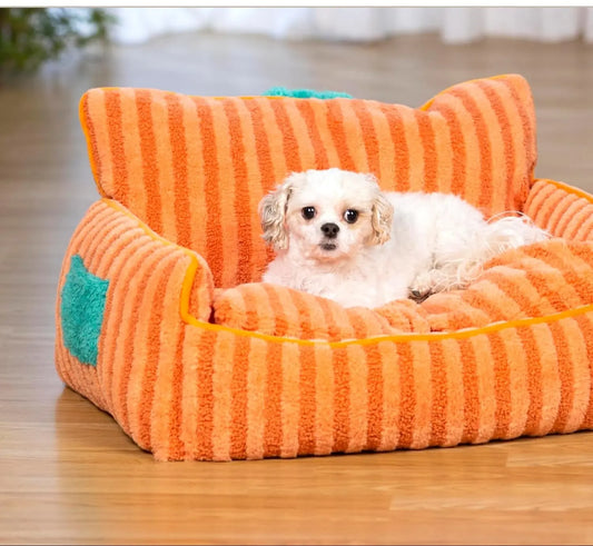 Small white dog in an orange pet bed wi
JoyPup Universal Sofa-Style Pet Bed – Soft Velvet, Cozy & Detachable,