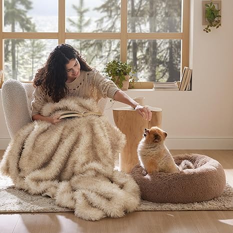 Woman reading a book with a dog on a pet bed in a cozy room.