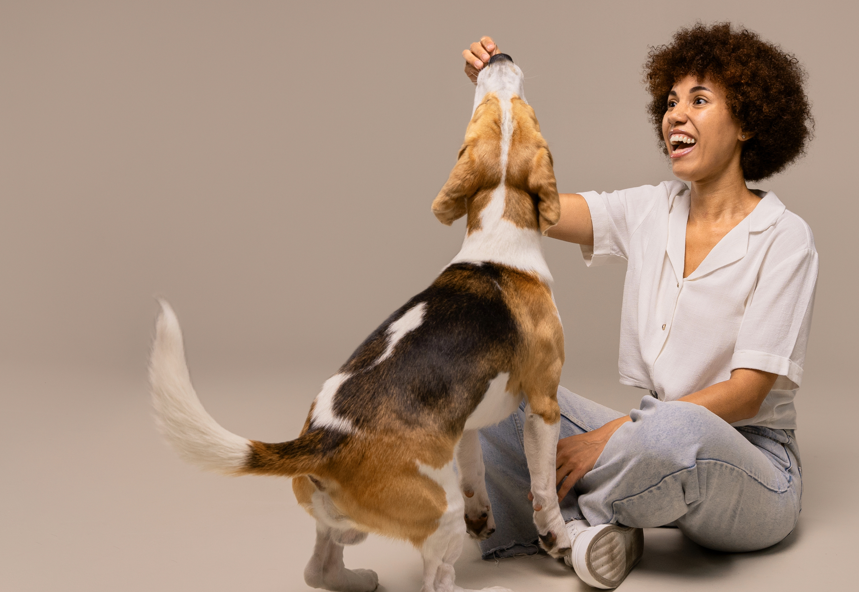  joypup store dog bed, a women plays with her dog
