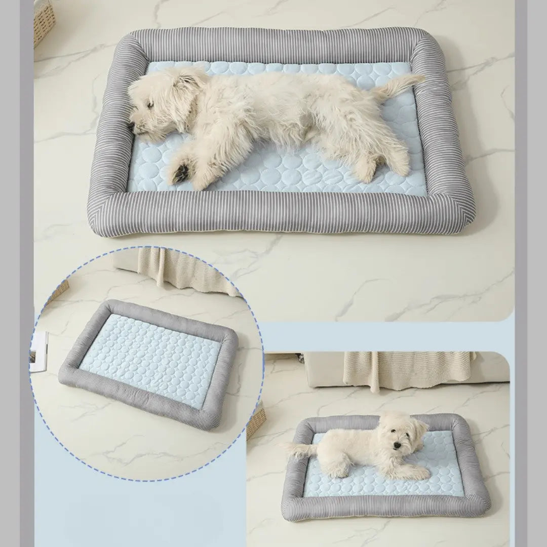 Cooling Dog Bed Pet Cool Mat - lying on a gray and blue cooling pet bed 