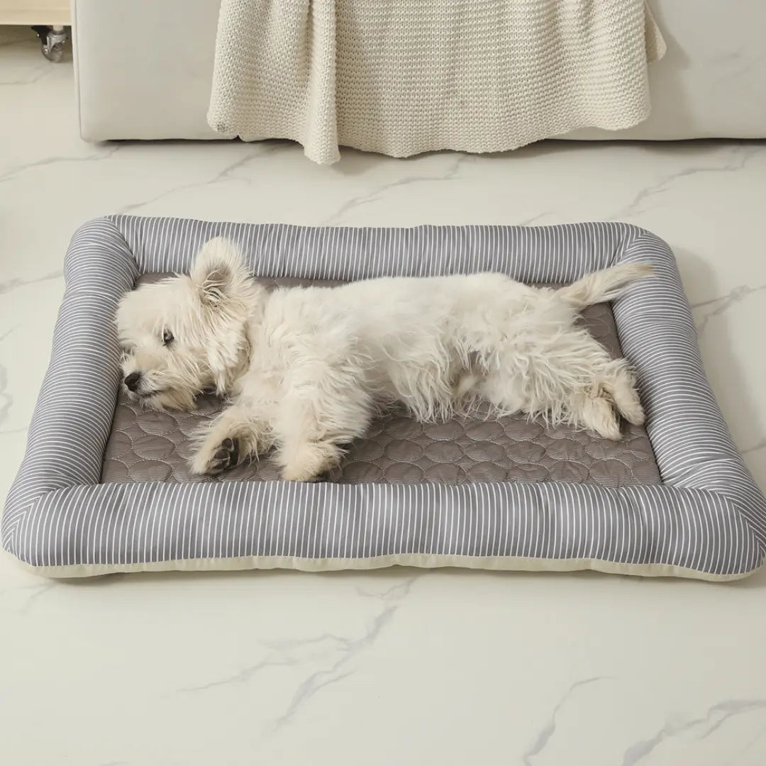 Cooling Dog Bed Cooling Dog Bed Pet Cool Mat - All SeasonsBed DogSmall white dog lying on a striped cooling pet bed in a living room.Joypup