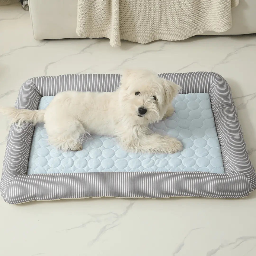Cooling Dog Bed Cooling Dog Bed Pet Cool Mat - All SeasonsBed DogDog lying on a striped cooling pet bed in a home settingJoypup
