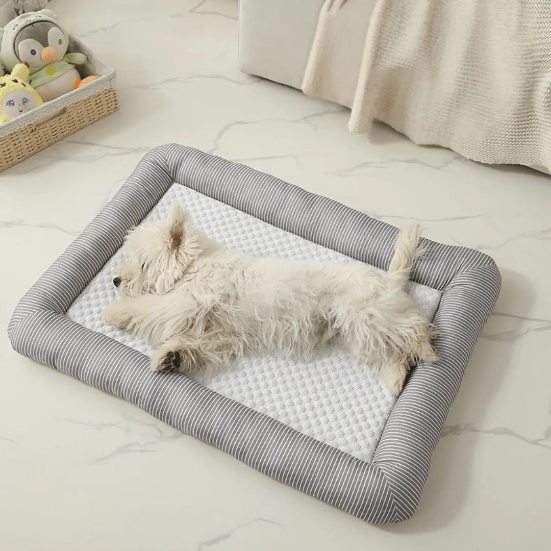 Cooling Dog Bed Small white dog lying on a striped cooling pet bed in a room with a light-colored floor.