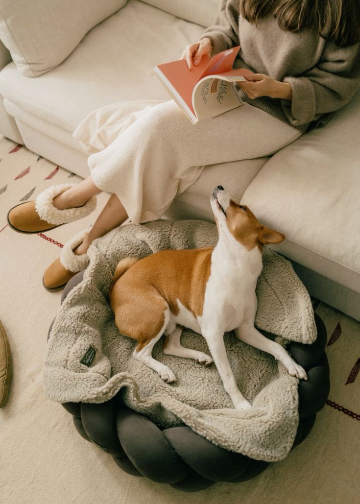 Person reading a book to a joypup store dog bed on a pet bed in a cozy living room.