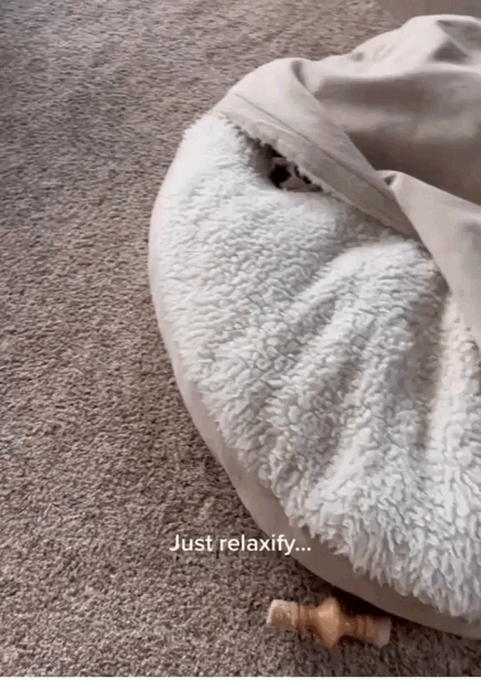 Calming Ultimate Anti-Anxiety Dog Bed - Safe & Cozy Mat