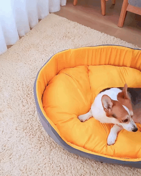 PetNet All-Season Ultra-Soft Dog Bed. Easy to Clean – Hassle-Free Maintenance