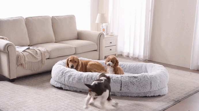 Human Dog Bed – Cozy, Ultra-Comfortable Bed. Perfect for Bonding