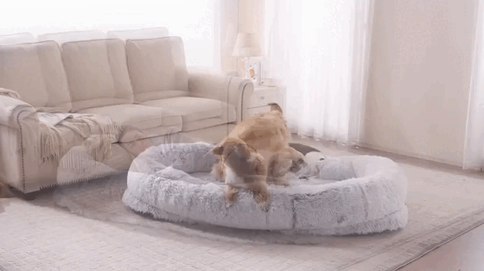 Human Dog Bed – Cozy, Ultra-Comfortable Bed. Easy Maintenance – Convenient & Effortless Cleaning
