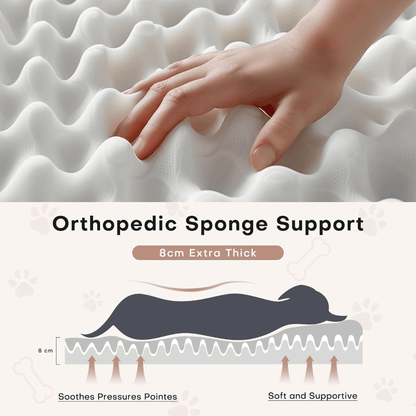 Human Dog Bed Orthopedic sponge support with a hand touching it, labeled as 8cm extra thick.