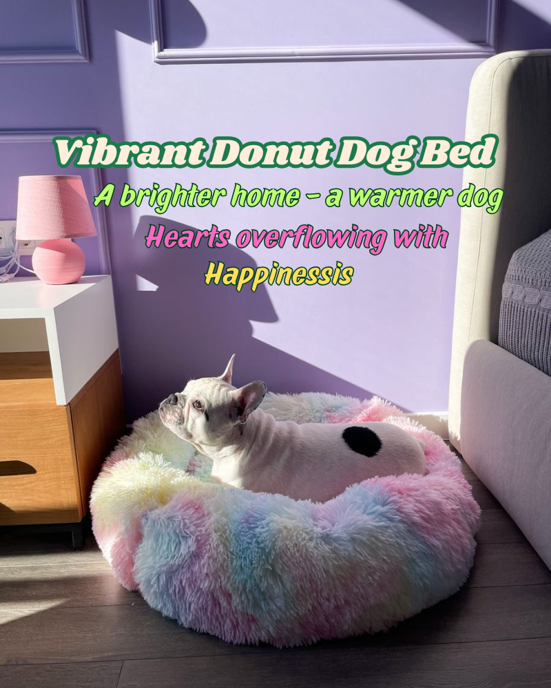 Dog lying on a colorful donut-shaped donut dog bed with text about happiness and warmth.