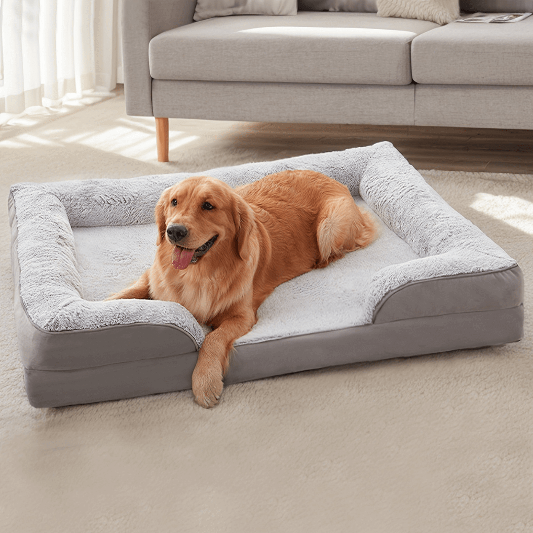 Orthopedic Dog Bed - Snoozy DreamDog lying on a large pet bed in a living room.Joypup
