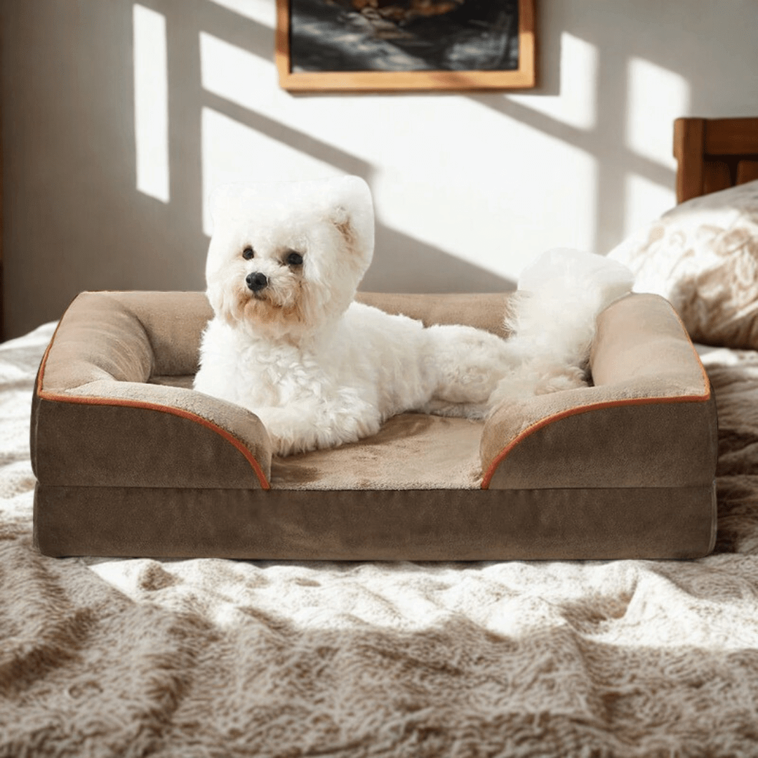 Orthopedic Dog Bed - Snoozy DreamWhite dog lying on a brown orthopedic pet bed in a sunlit room.Joypup