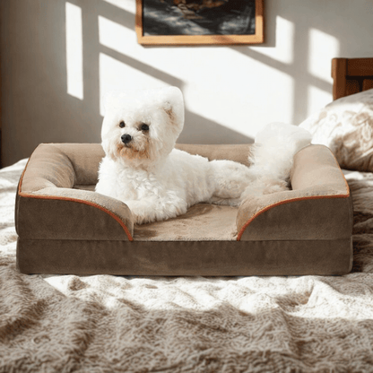 Orthopedic Dog Bed - Snoozy DreamWhite dog lying on a brown orthopedic pet bed in a sunlit room.Joypup