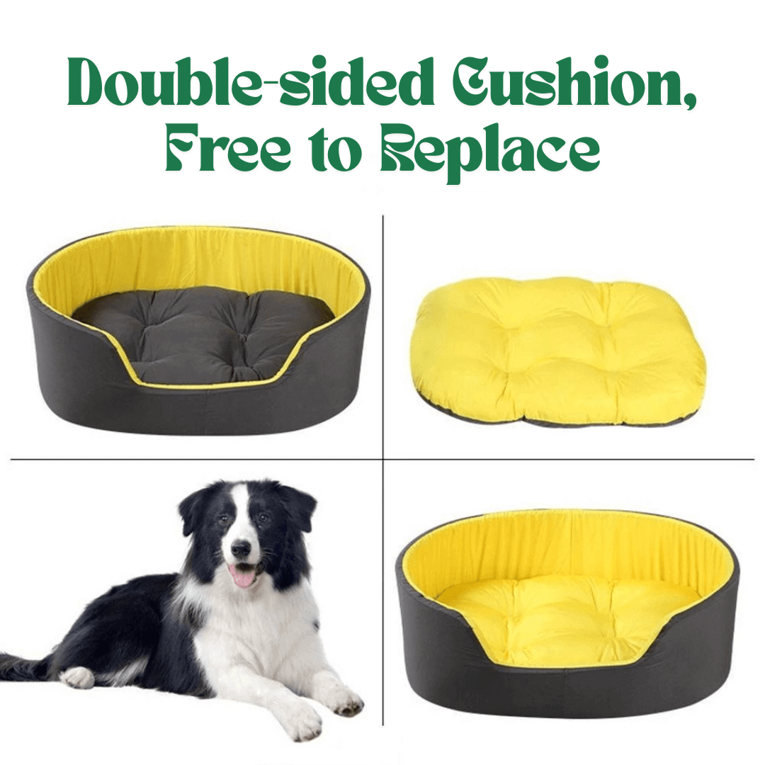 PetNet All - Season Ultra - Soft Dog BedDog bed with yellow and black sides, featuring a dog lying on it. Year-Round Comfort – Cool in Summer, Warm in Winter