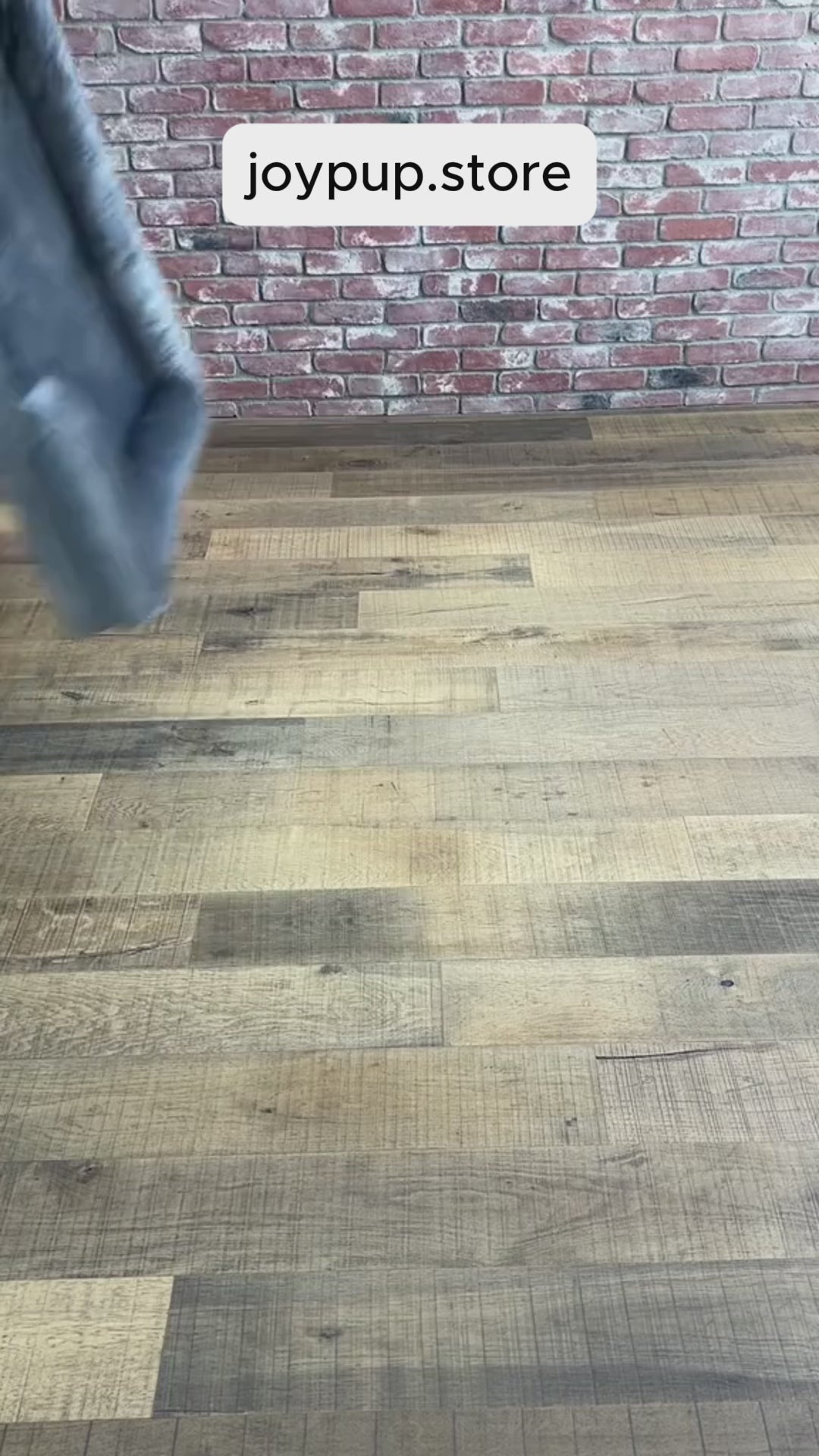 Load video: Orthopedic Dog Bed - Snoozy Dream