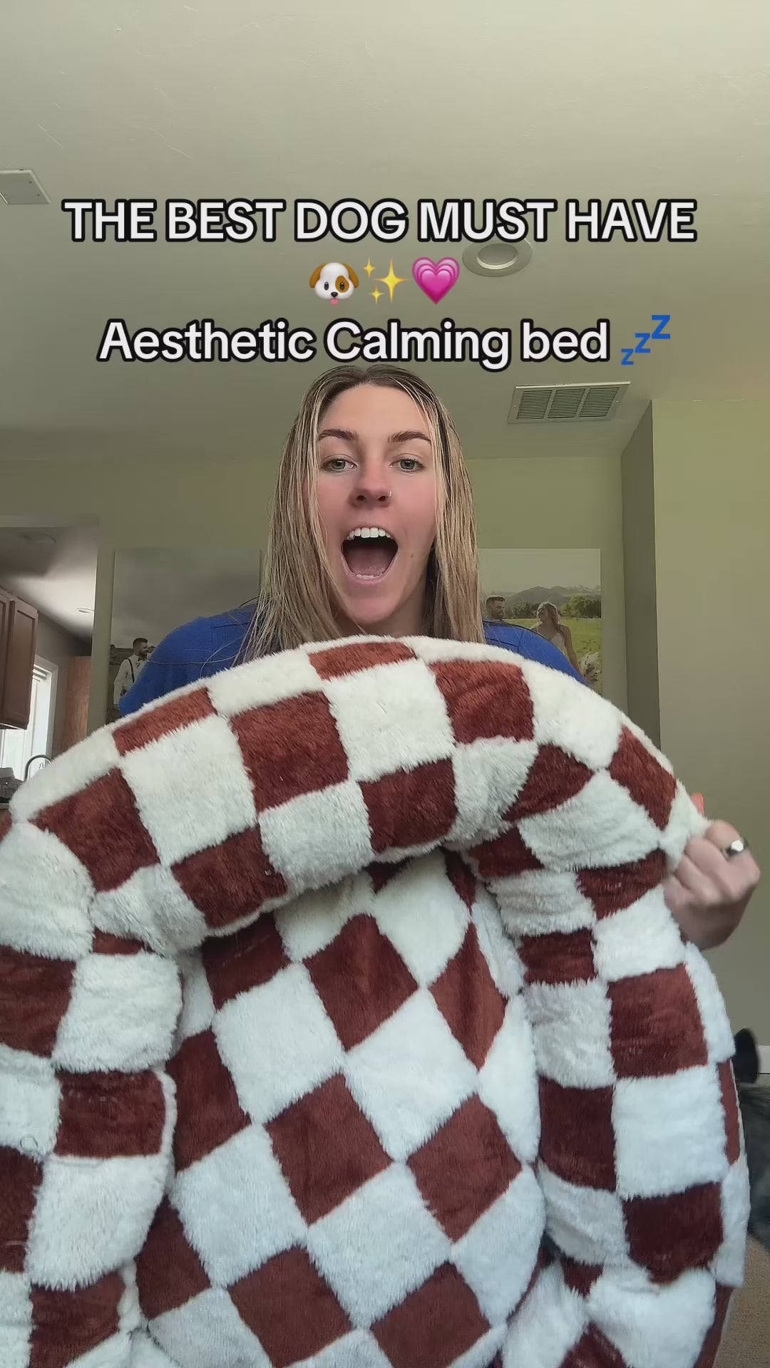 Load video: CozyPaw Donut Dog Bed – Modern Design, Soft &amp; Warm, Washable