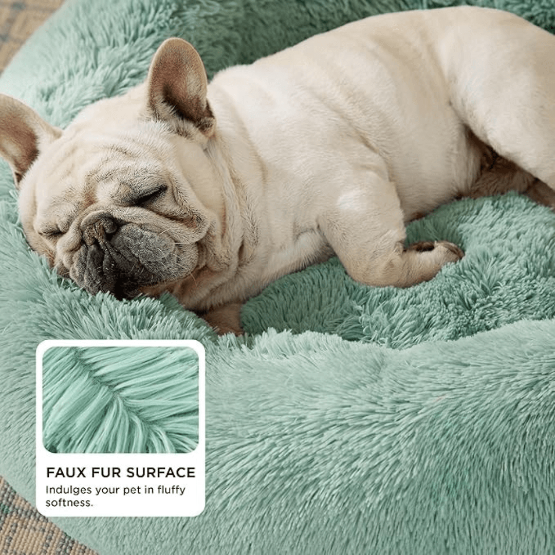 Dog sleeping on a plush green pet bed with a close-up of the faux fur surface.