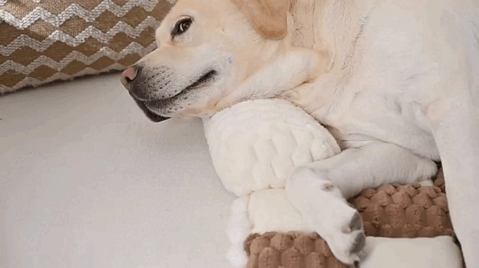 Fluffy Fuzzy Calming Dog Bed Sofa Protector Pet Mat. Secure & Portable Comfort