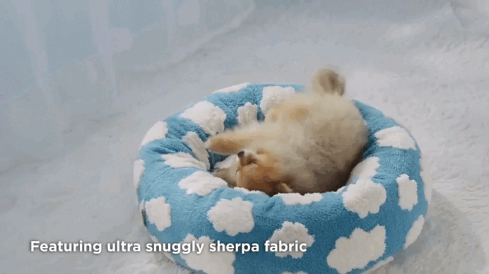  joypup store dog bed, the dog walked into donut dog bed, comfort dog bed